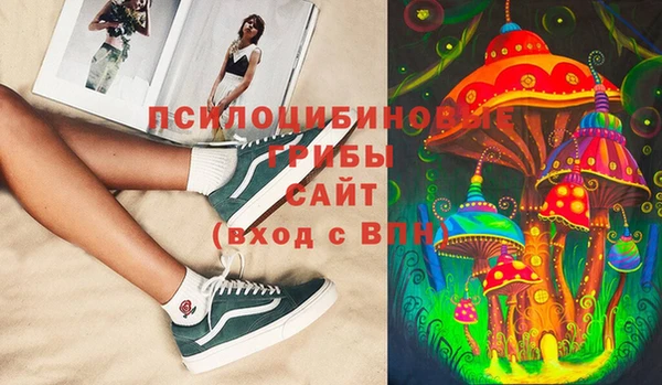соль ск Магас
