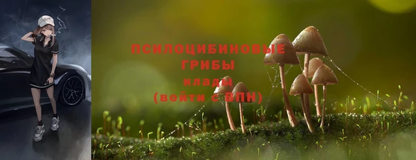 apvp Майский