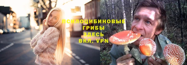 apvp Майский