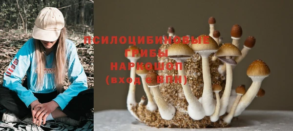 бошки Лихославль