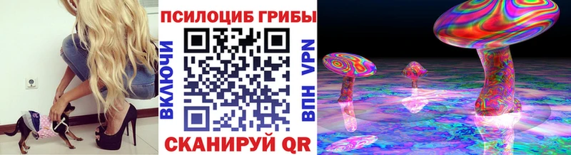 где купить Людиново Галлюциногенные грибы ЛСД