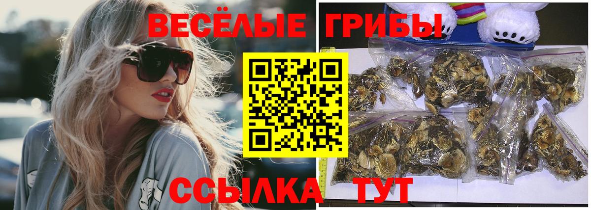 Псилоцибиновые грибы Cubensis  Людиново  Галлюциногенные грибы MAGIC MUSHROOMS 