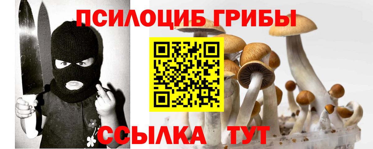 Людиново  Галлюциногенные грибы Magic Shrooms  Вход с VPN 